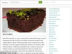 Sites similar to kek.gen.tr