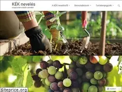 Sites similar to kekneveles.net