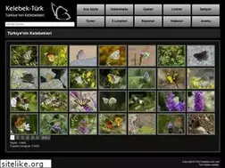 Sites similar to kelebek-turk.com