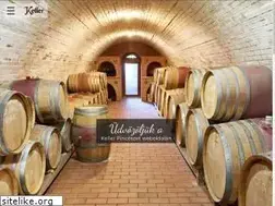 Sites similar to kellerpince.hu