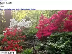 Sites similar to kelly-kautz.com