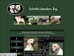 Sites similar to kelrobin.com