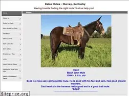 Sites similar to kelsomules.com