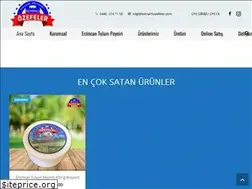 Sites similar to kemahliozefeler.com