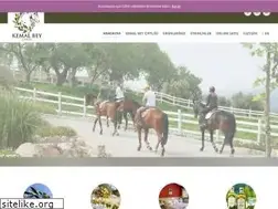 Sites similar to kemalbeyrange.com