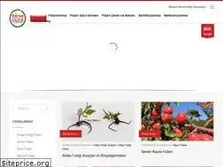 Sites similar to kemalcucetarim.com