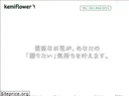 Sites similar to kemiflower.co.jp