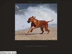 Sites similar to kengali.com