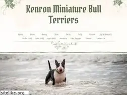 Sites similar to kenronminiaturebullterrier.com