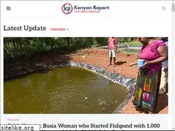Sites similar to kenyanreport.com
