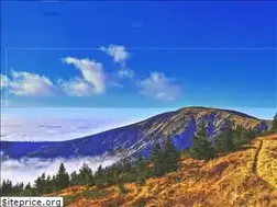 Sites similar to keralaayurved.com