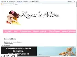 Sites similar to keremsmom.blogspot.com
