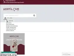 Sites similar to kertilcam.com