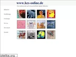 Sites similar to kes-online.de