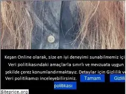 Sites similar to kesanonline.com