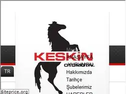 Sites similar to keskinotomotiv.com