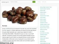 Sites similar to kestane.gen.tr