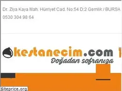 Sites similar to kestanecim.com