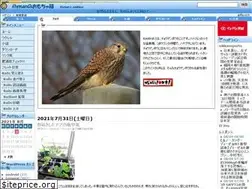 Sites similar to kestrel.jp