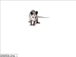 Sites similar to kevinbaird.com