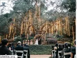 Sites similar to kevinlevuweddings.com