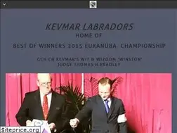 Sites similar to kevmarlabs.com