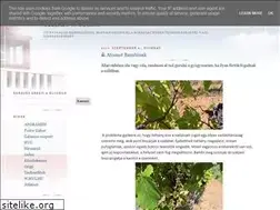 Sites similar to kezdoborasz.blogspot.com