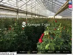 Sites similar to kg-rose.com