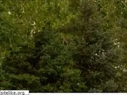 Sites similar to kguardgutters.com