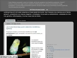 Sites similar to khaibarperiquitos.blogspot.com