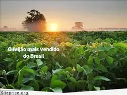 Sites similar to kicaldo.com.br
