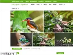Sites similar to kicauburung.com