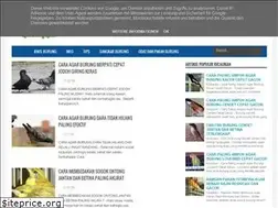 Sites similar to kicaukan.blogspot.com