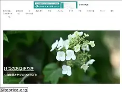 Sites similar to kickhead.shop