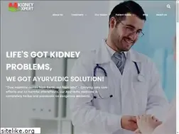 Sites similar to kidneyxpert.com