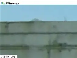 Sites similar to kido-ss.com