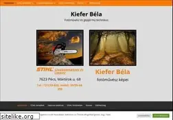 Sites similar to kiefer.hu