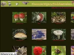 Sites similar to kijkhiereens.nl