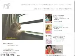 Sites similar to kikinotable.com