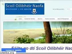 Sites similar to kilcloonns.org