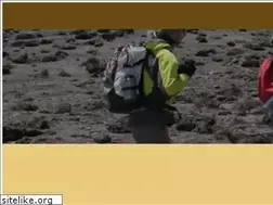 Sites similar to kilimanjarosafariholidays.com