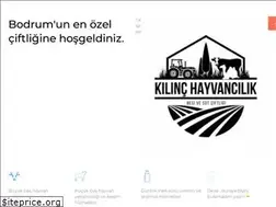 Sites similar to kilinc.com.tr