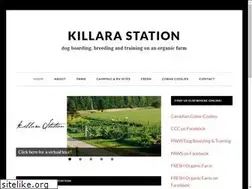 Sites similar to killarastation.com