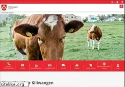 Sites similar to killwangen.ch
