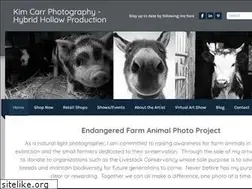 Sites similar to kimcarrphotography.com
