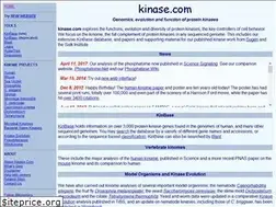 Sites similar to kinase.com