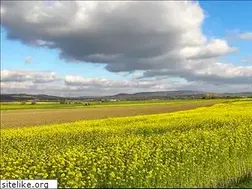 Sites similar to kinderfilmfindmaschine.de