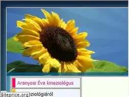 Sites similar to kineziologialap.hu