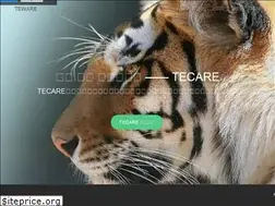 Sites similar to king.bz