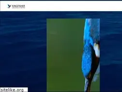 Sites similar to kingfisher.co.th